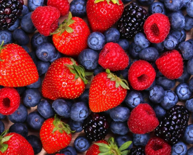 Veg Seasonal Mix of Berries for birds, rabbits, g-pigs