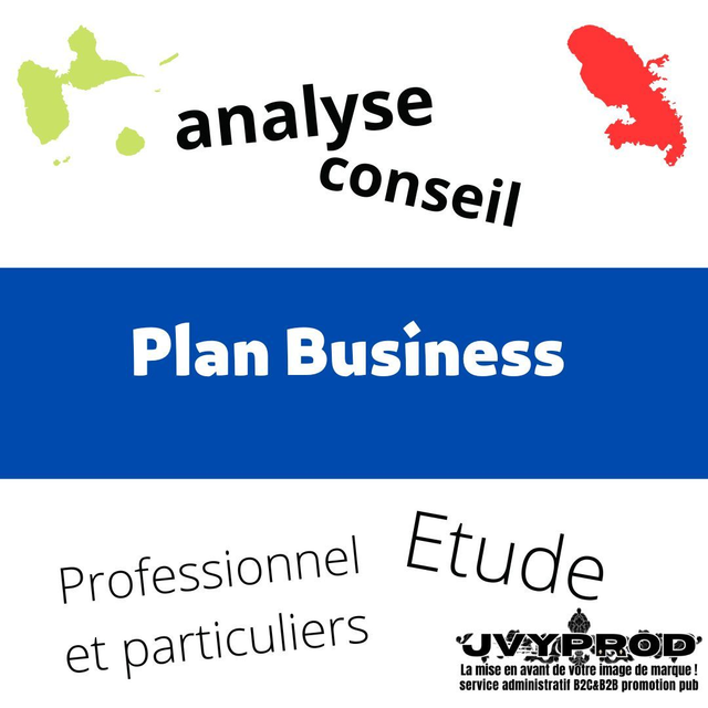 Plan Business (consultation)