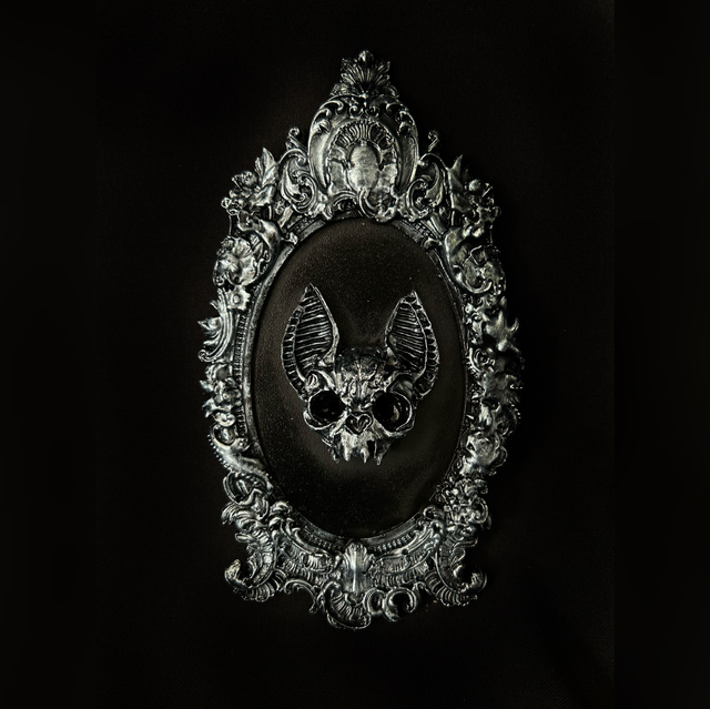 Echo frame