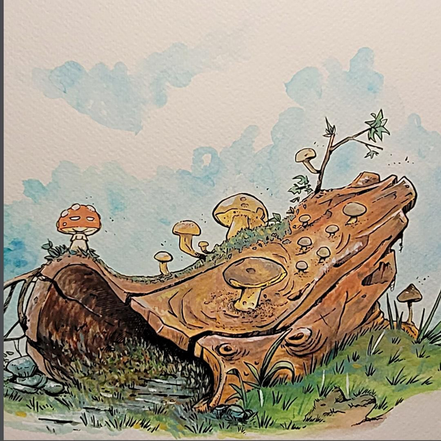 La souche à Champ'S 