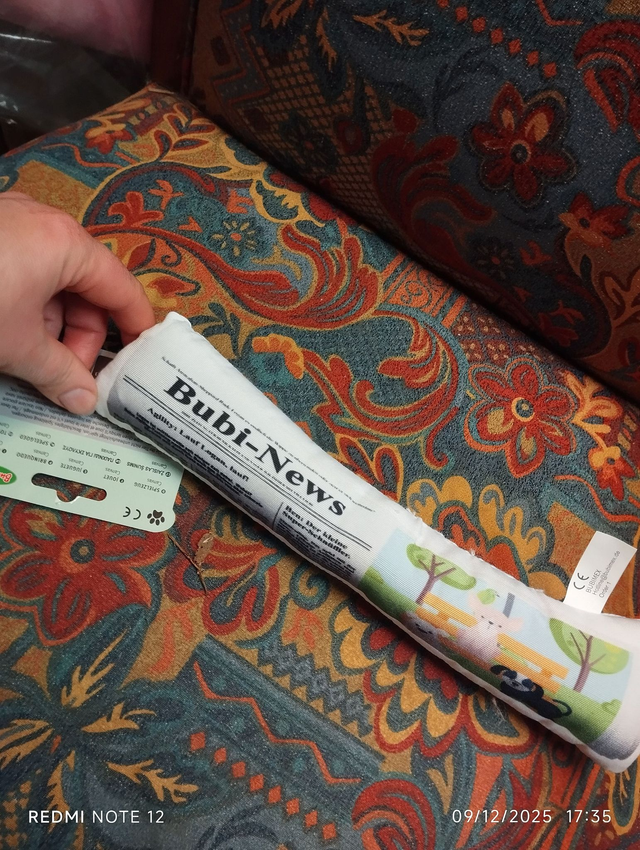 Jouet pour chien “Bubi-News” 