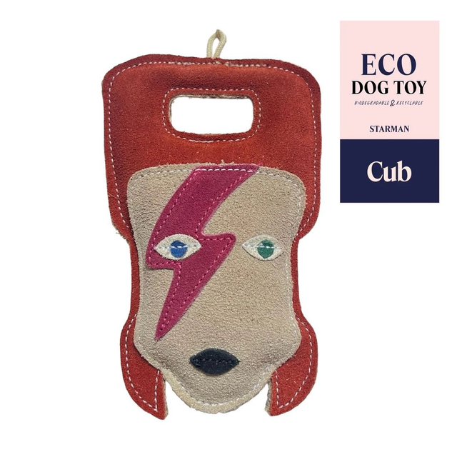 Cub Limited Edition - Mr Starman 