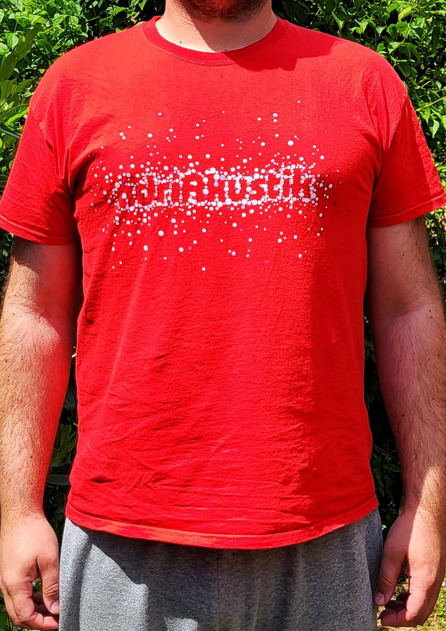 T-Shirt, 2024, rot, male