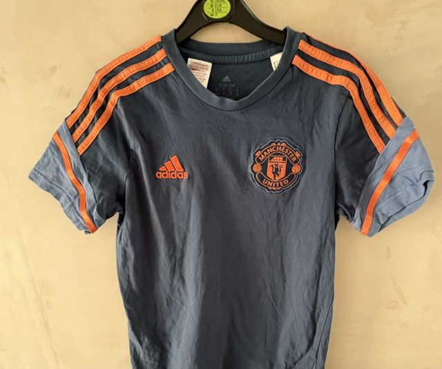 Manchester United Training Shirt 