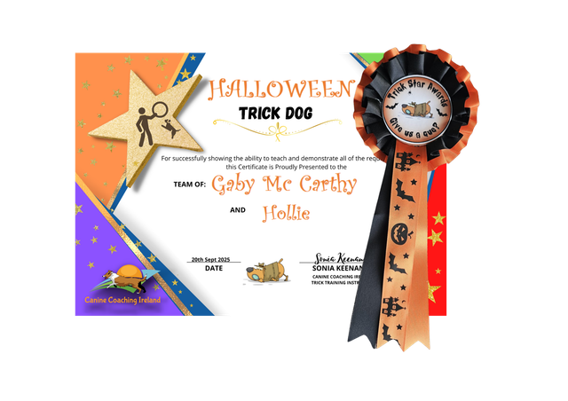 Halloween - Cert &amp; Rosette  