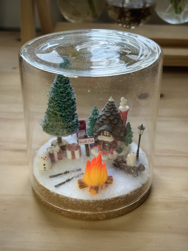 ❄️ Terrarium verre - Édition Hiver