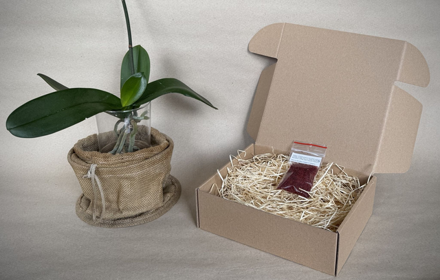 Saffron - Filament grade 2  (10 grams) Free shipping*