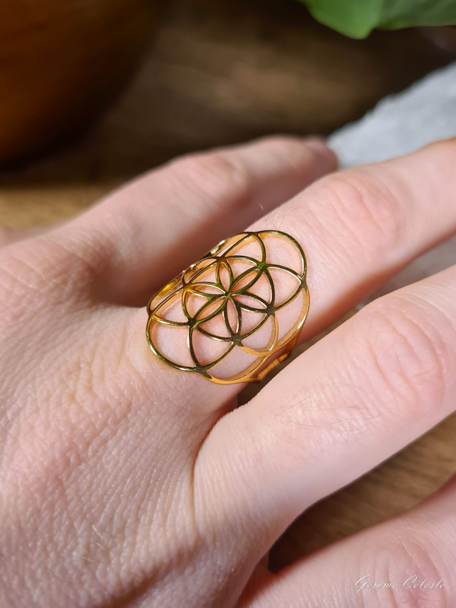 Bague &quot;L&#039;Origine&quot;