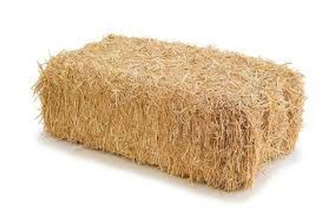 Paille, botte de 100 X 50 cm