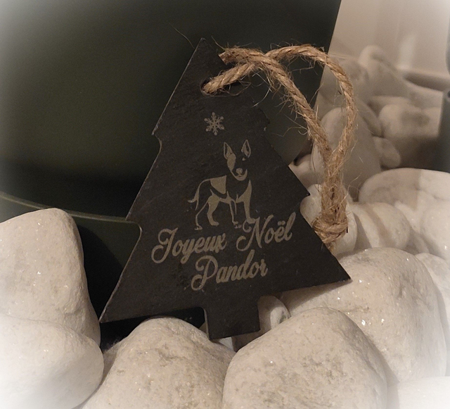 Décoration de Noël en Ardoise