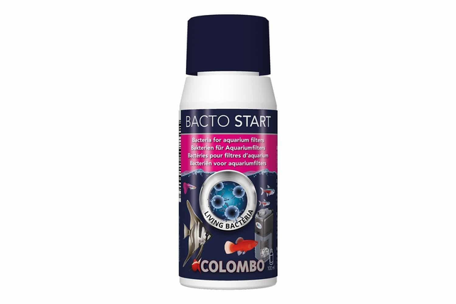 Bacto start 100ml 8715897225413