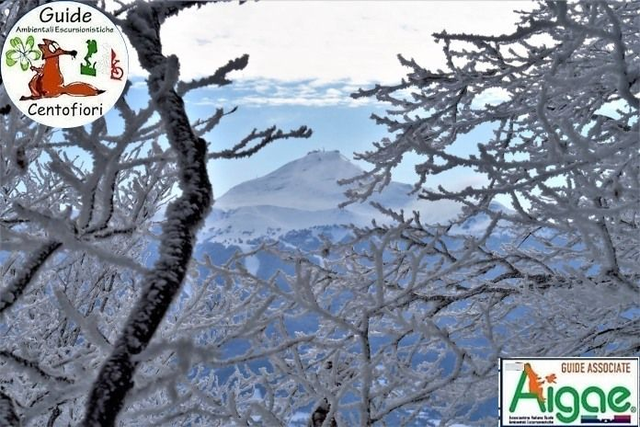 15/02 - Ciaspolata sulla Via Vandelli a Barigazzo (MO)