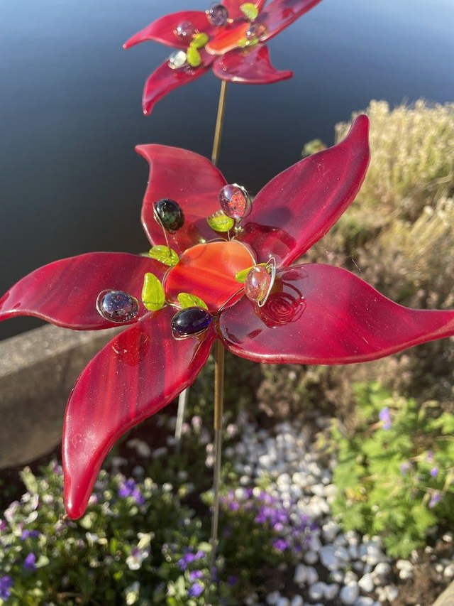 3D Bloem - Rood