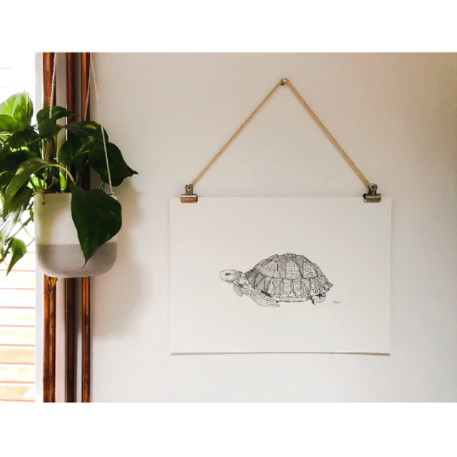 B&W A3 print - tortoise