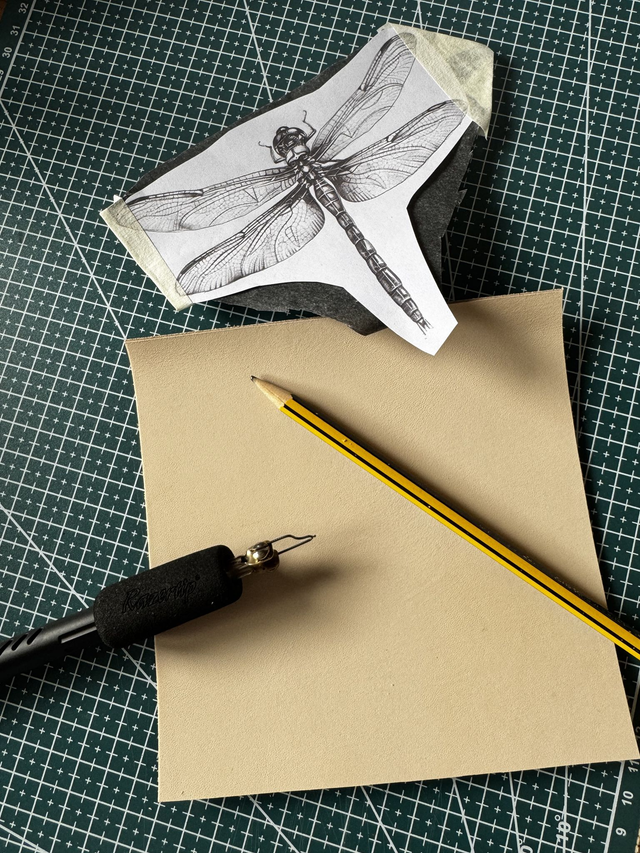 Saturday 11th July  Dragon Fly Inspired Pyrography Workshop in Ecclesall Woods 