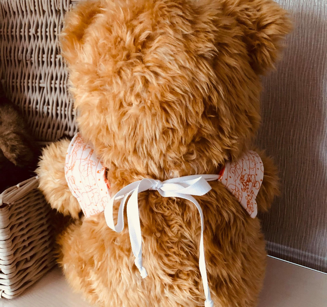 Embroidered Baby Bib Apron - Little Monster - age 3-12 months