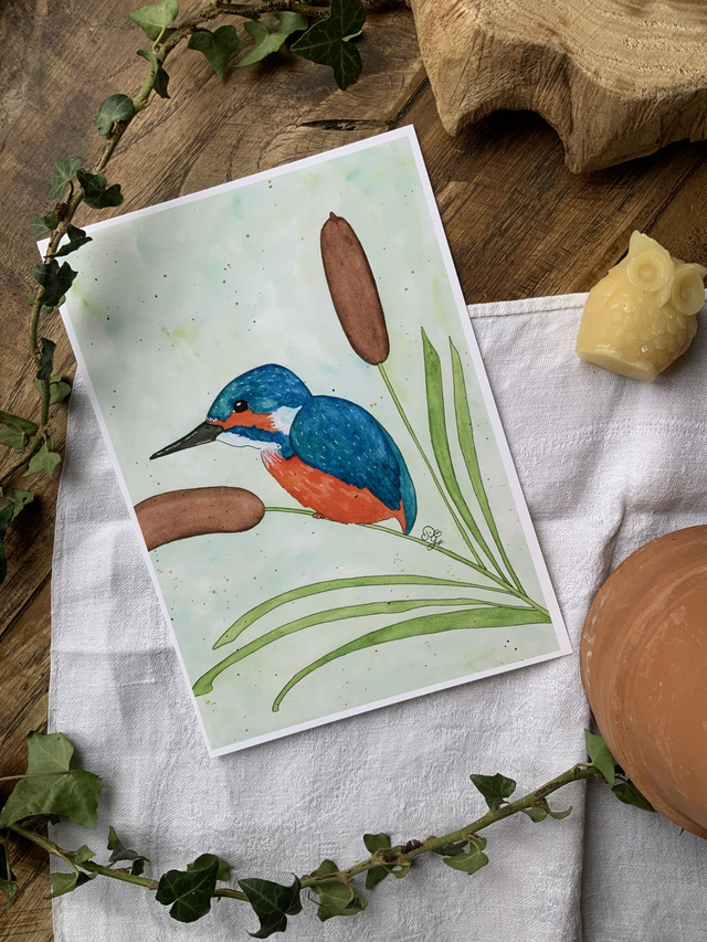 Reproduction A5 « Roi des marais »