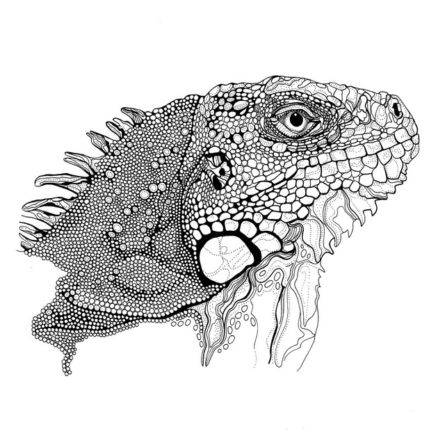B&W A3 print - reptile