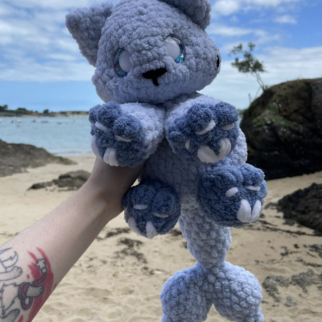Chat requin bleu
