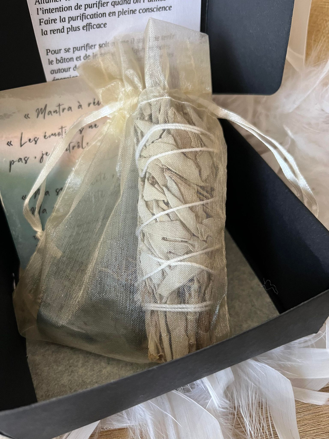 Box "hypersensibilité"