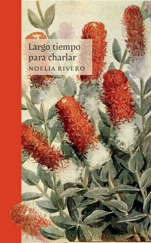 Largo tiempo para charlar - Noelia Rivero