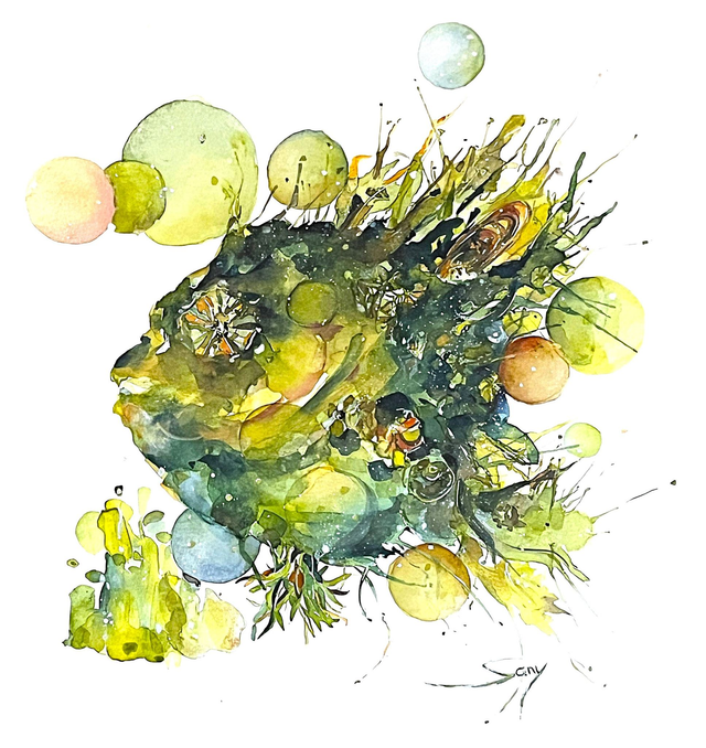 Visage marin vert II