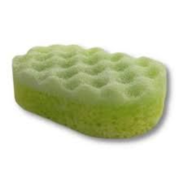 Inspired by Alien Soap Sponge