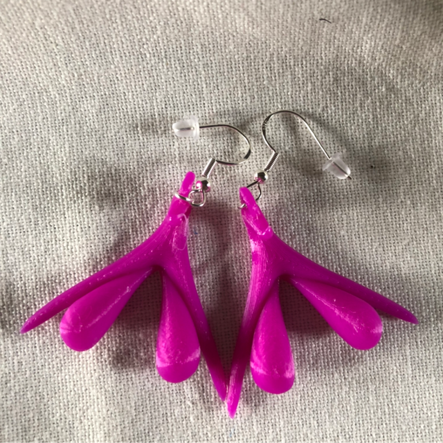 5- BO Clito Rose Fuschia 