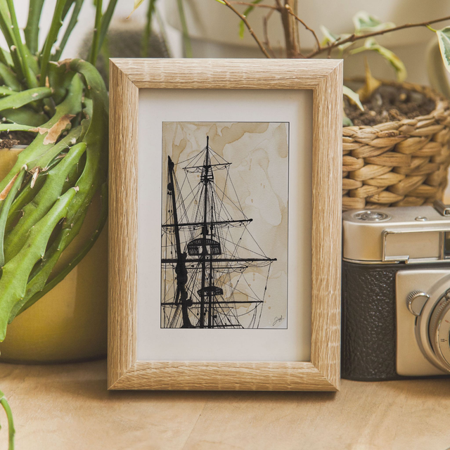 Carte postale - Café - Étoile du Roy