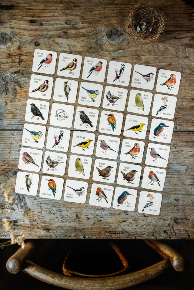 Memory des oiseaux