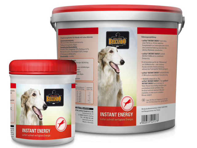 INSTANT ENERGY
