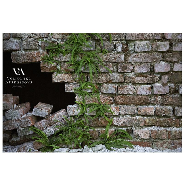 "Premier dimension" -photographie numerotée