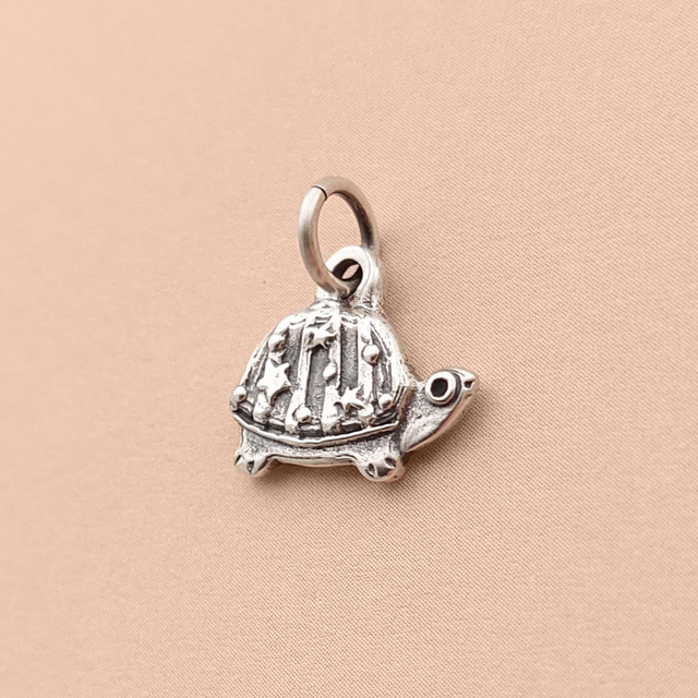 Silver Turtle Necklace  - Sterling Silver Turtle Charm - 925 Unique Turtle Pendant - Quirky Turtle charm - Medieval Charm