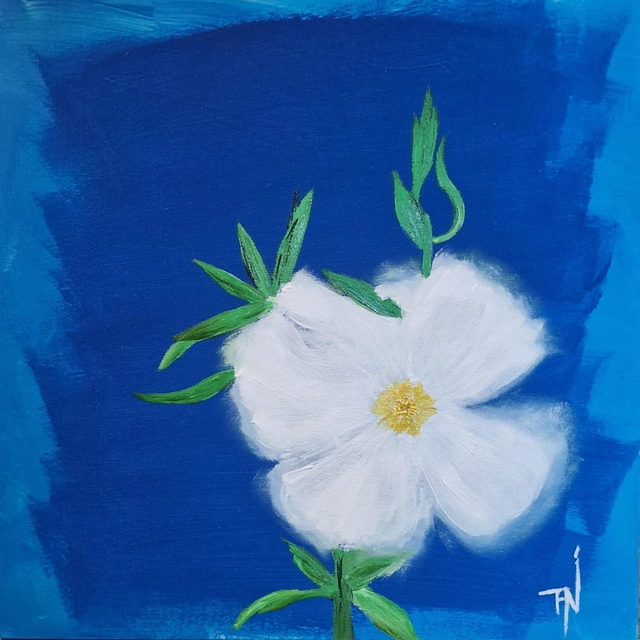 Huile sur bois | CISTE BLANCHE