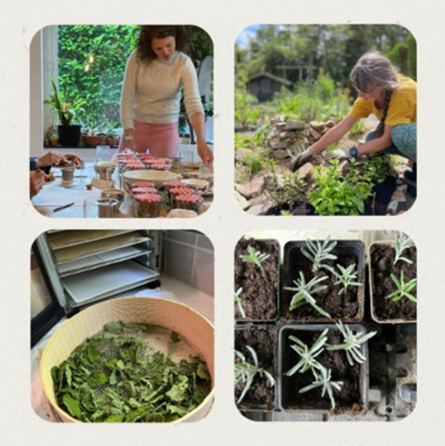 Complete cursus "Ontwerp je Kruidentuin"