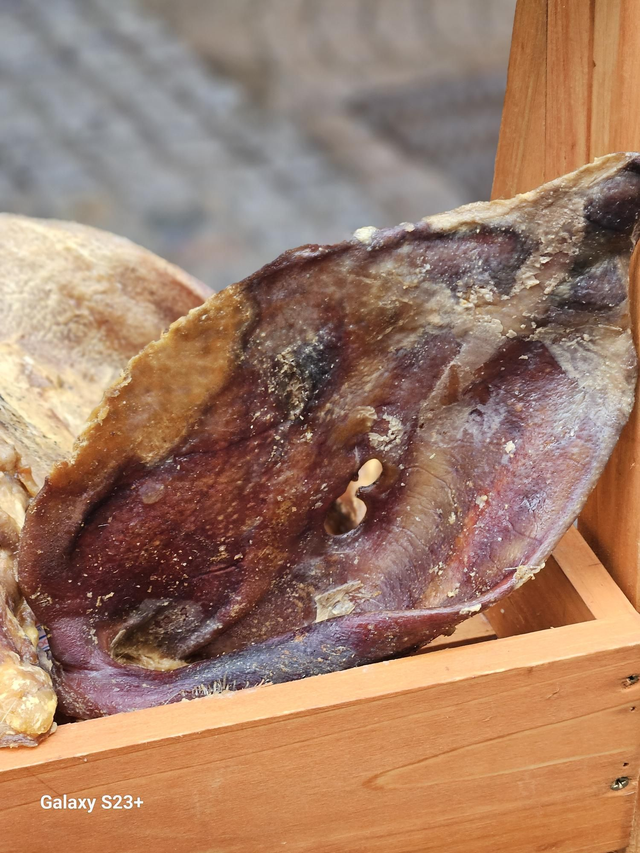 Pig / Sow Large  Ear