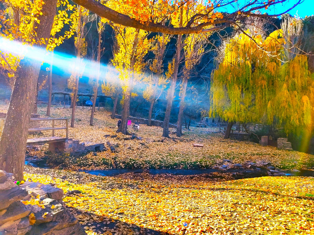 Otoño en Sierra Nevada 25