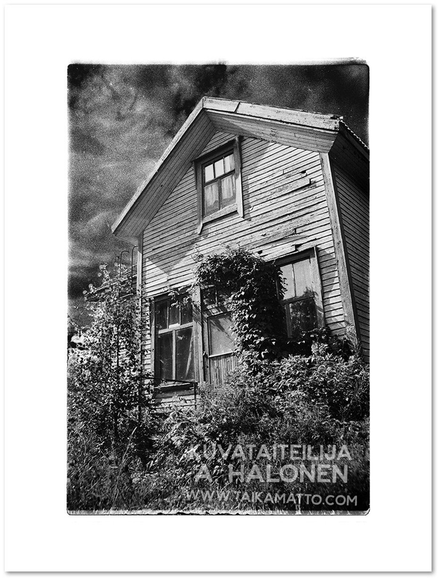 Metsänpeitossa numero 2