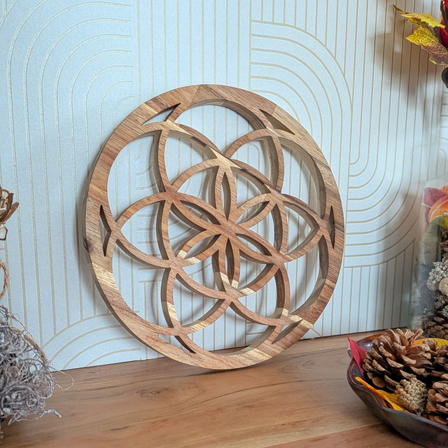 Graine de vie en acacia