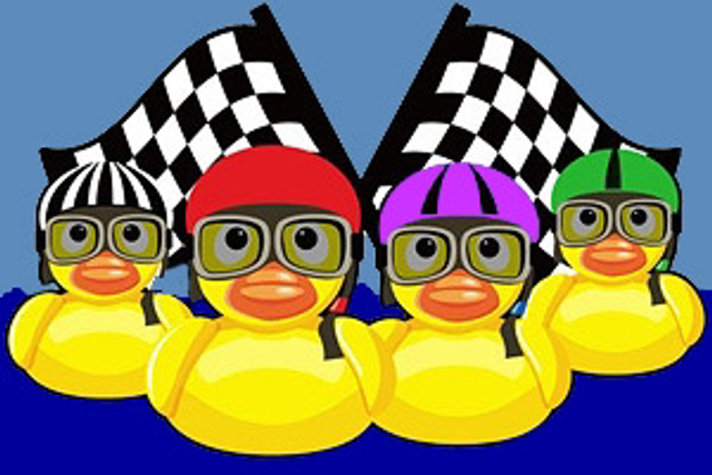 Duck Race - Single Entry
