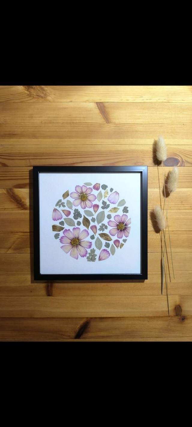 Herbier d'Art Cosmos