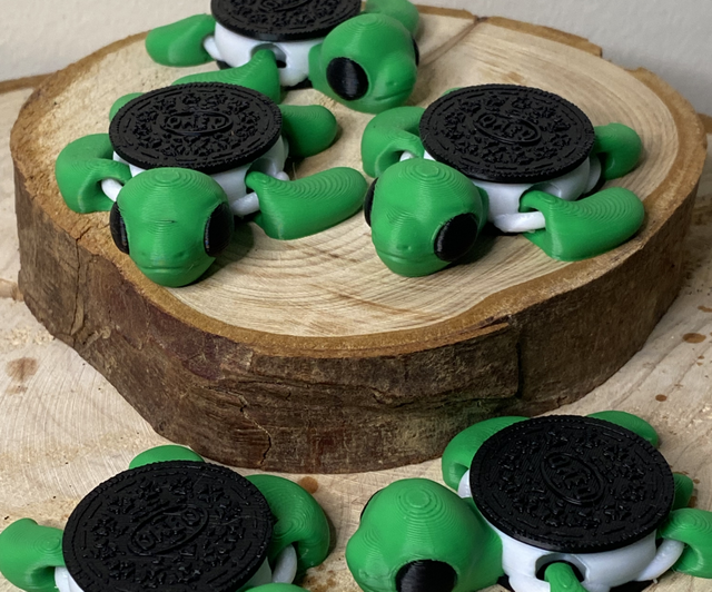 Tartaruga oreo