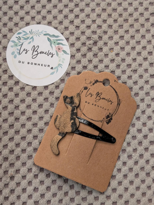 Barrette b059