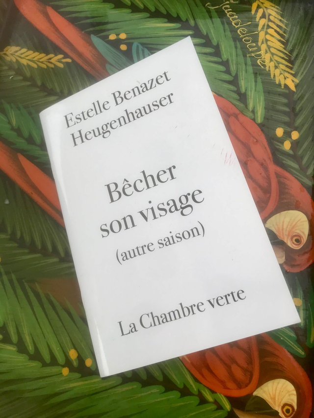 Bêcher son visage (autre saison) - Estelle Benazet Heugenhauser
