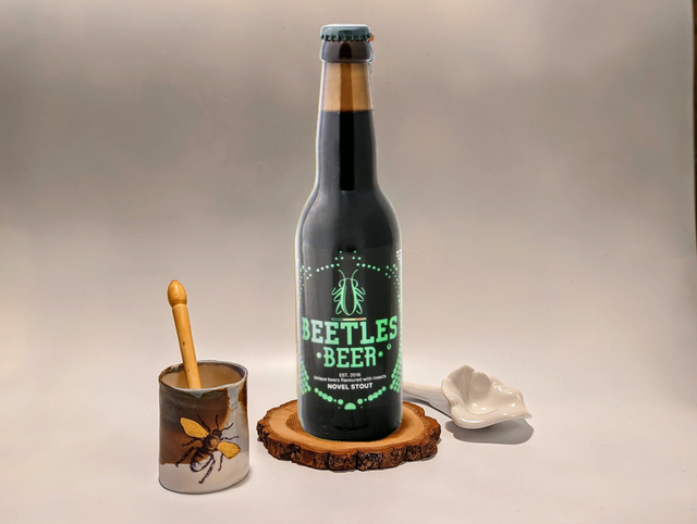 Bière Beetlesbeer brune Vers de farine, grillon - ROMAN STOUT 33cl