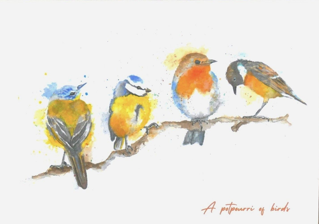 A Potpourri of Birds (Greeting Card)