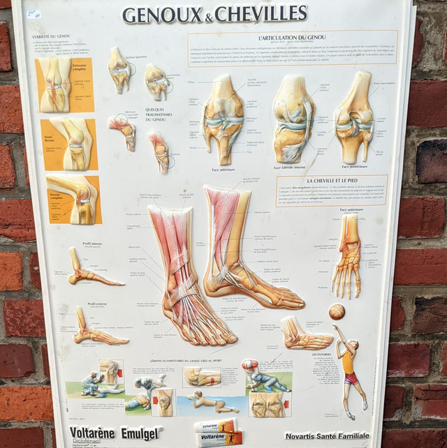 Affiche publicitaire ancienne VOLTAREN genoux et chevilles