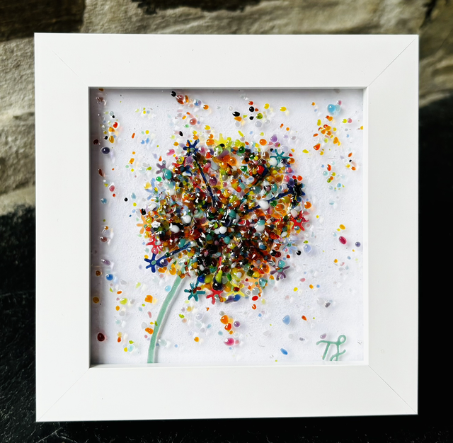 Rainbow Coloured Allium Artwork in Standing frame