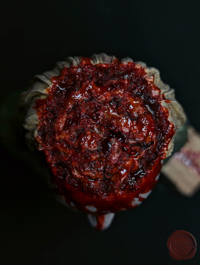 Helicopter Zombie - Dawn of the dead