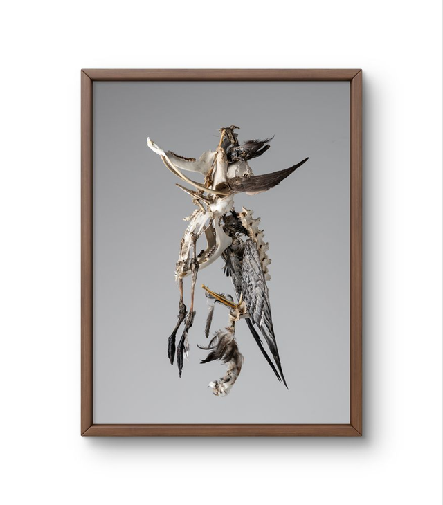 'Lucifer' Fine art print Framed 30x40 cm 